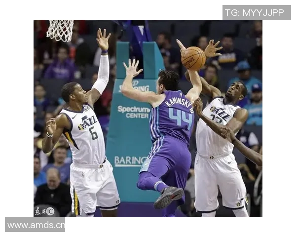 黄蜂主帅：韦伯斯特是球队核心